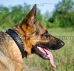 Soft Padded Dog Collar for German Shepherd 1 In Wide