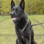Luxury Handmade Leather Dog Harness with Brass Fitting for GSD