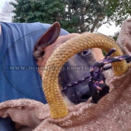 Jute Bite Wedge with Handles for Puppies and Young Dogs Biting