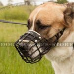 Rubber-Covered Dog Basket Muzzle for Alabai and Big Shepherd Dog