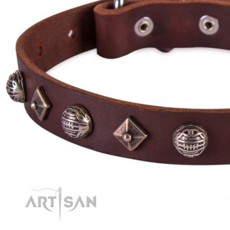 Exclusive Brown Leather Dog Collar With Nameplate UK