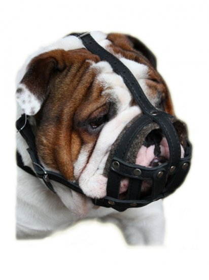 Old English Bulldog Muzzle UK Bestseller Leather Basket - Click Image to Close