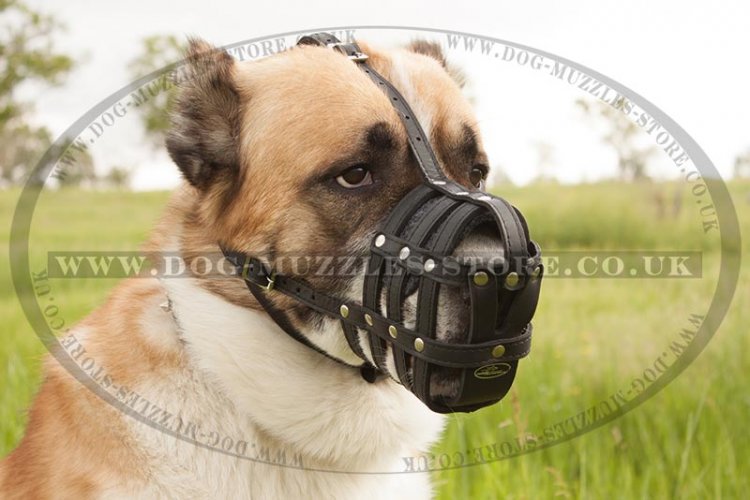 Alabai Muzzle for Big Dog, Soft and Strong Leather Basket - Click Image to Close