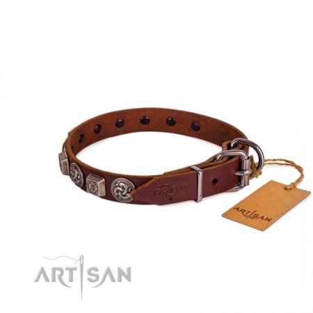 Luxury Brown Leather Dog Collar With Metal Buckle FDT Artisan
