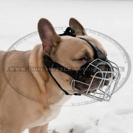 Best Muzzle for French Bulldog | Basket Muzzle for Frenchie
