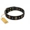 Adorable Black Leather Dog Collar "Pirate’s Spell" FDT Artisan