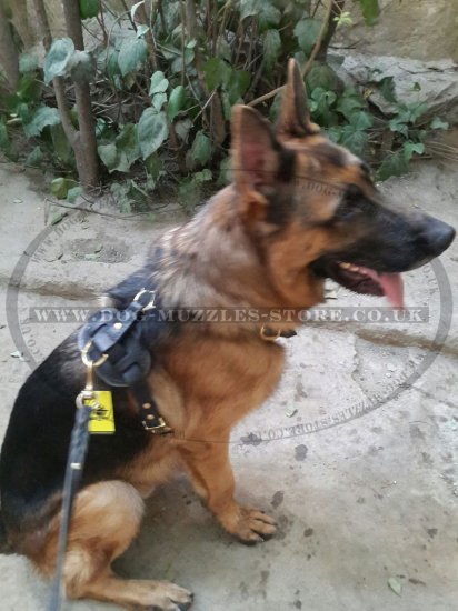 Dog Tracking, Walking Leather Dog Harness for Training