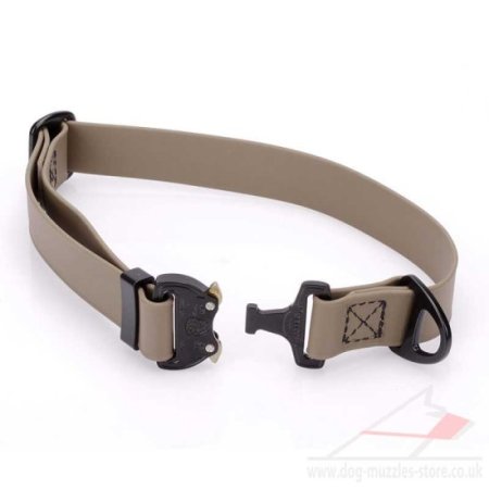 1" Medium to Large Waterproof Dog Collar with Metal Clasp