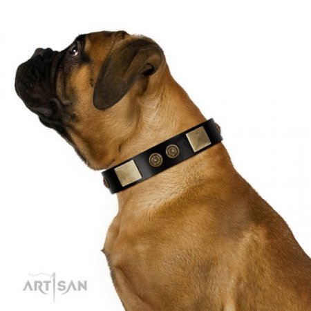 NEW! Black Leather Collar For A Dog "Chicci-Glam" FDT Artisan