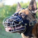 Belgian Malinois Muzzle | Wire Dog Muzzle Soft Padded