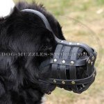 Newfoundland Dog Muzzle UK Bestseller Strong & Soft Leather Cage