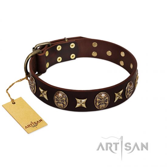 Brown Leather Dog Collar With Stars
