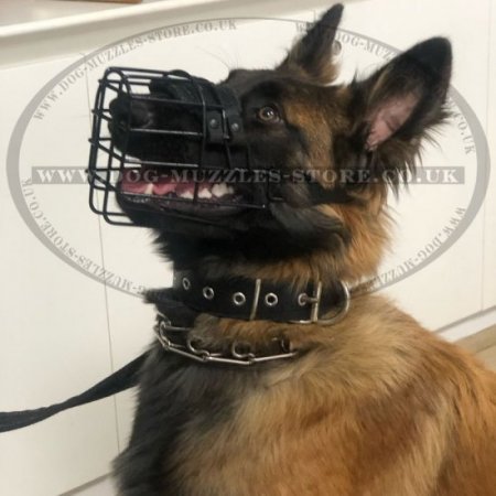 Comfortable Belgian Tervuren Dog Muzzle with Rubber Coating