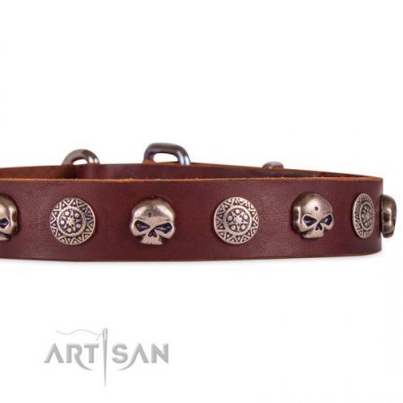 Adorable Dark Brown Leather Dog Collar With Skulls FDT Artisan