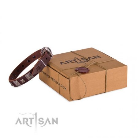 Elegant Brown Studded Dog Collar FDT Artisan 1" Width