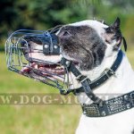 Pitbull Muzzle - Padded Wire Basket Muzzle for Pitbull