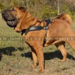 Padded Shar Pei Dog Harness for Tracking and Pulling