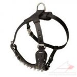 Large Dog Body Harness with Spikes Padded Leather