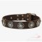 Designer Dog Collar with Blue Stones