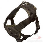 Nylon Dog Harness with Handle and Padded Triangle Chest Plate