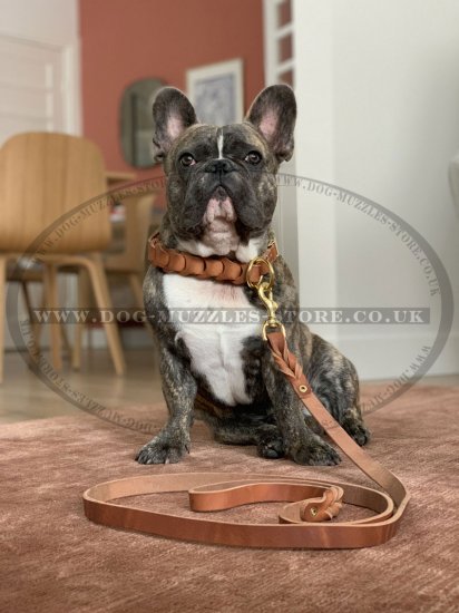 The Best Leather Dog Lead for Medium and Large Dog Breeds 2-6 ft
