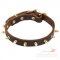 Brass Spiked Dog Leather Collar