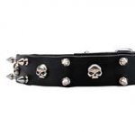 Super Funky Dog Collar with Spikes and Skulls