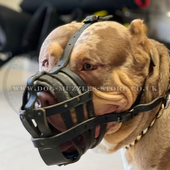 XL Bully Dog Muzzle Basket Real Leather