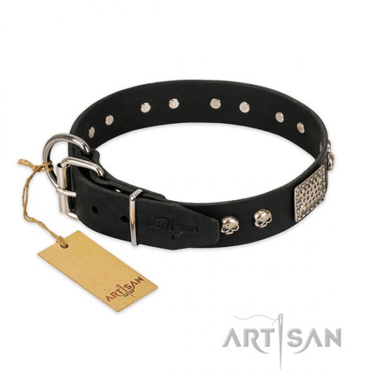 Elegant Black Dog Collar with Decorations 'Pirates Gold'