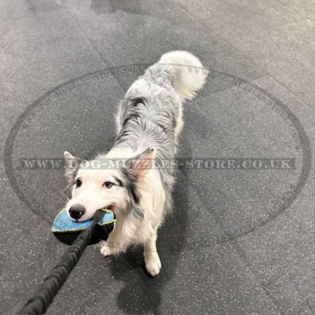 Soft Dog Bite Tug Toy with a T-Handle