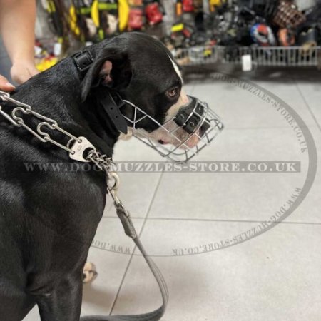 Wire Basket Dog Muzzle That Allows Drinking and Eating