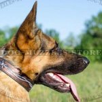 Buy Handpainted Dog Collar Barbed Wire Design for GSD