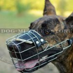 Wire Dog Muzzle for Great Dane | Great Dane Muzzles UK