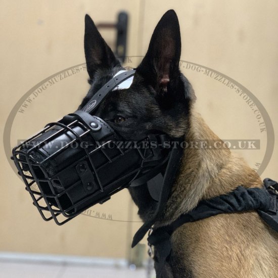 Belgian Malinois Dog Muzzle Basket Padded with Leather & Rubber