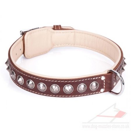 "Cone" Comfortable Brown Leather Dog Collars UK With Decorations
