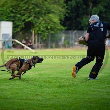 Easy Protection with Scratch Pants for Dog Training