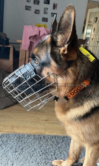 Large German Shepherd Muzzle Size Metal Basket for Drinking