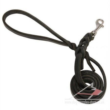 Leather Dog Leash with Stainless Steel Carabiner
