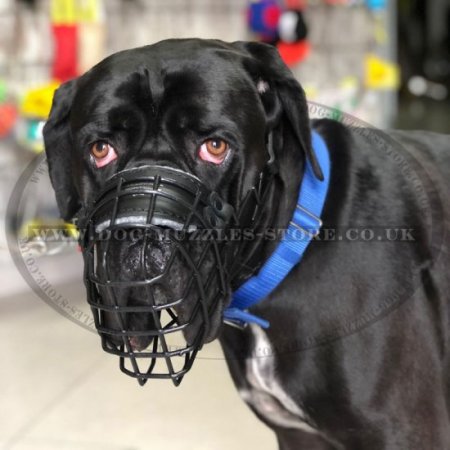 Special Rubberized Basket Dog Muzzle for Cane Corso