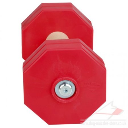 Red Dog Retrieve Dumbbell for IGP Sports