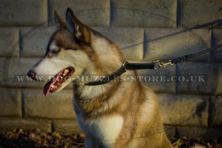 "Rattlesnake" Reliable Choke Collar For Husky Braided Design