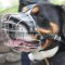 Comfortable Dog Muzzle Basket Type for Swiss Mountain Dog Size