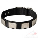 New Strong Stuff Dog Collars for Big Dogs and Middle Breeds