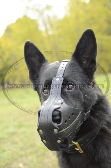 K9 Dog Muzzle for Police Dogs, Perfect for GSD!!! - Click Image to Close