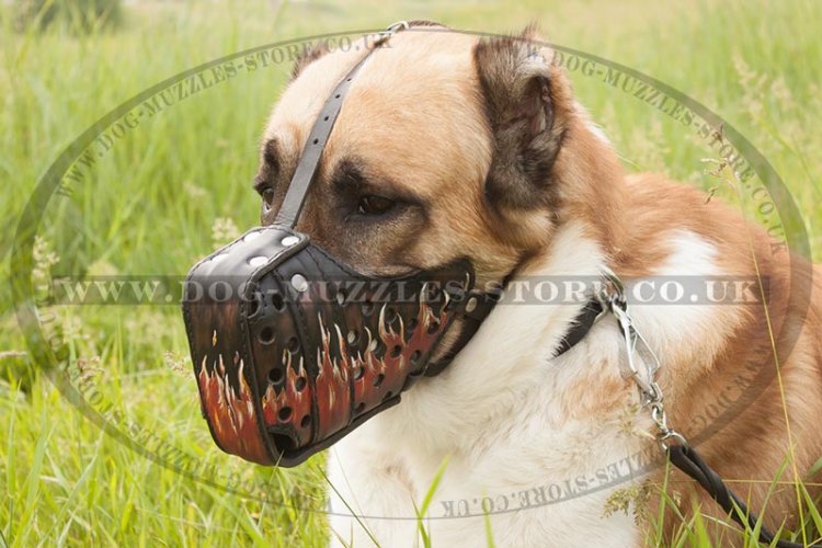 Asian Shepherd k9 Dog Muzzle with Exclusive Painting - Click Image to Close