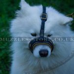 New Leather Dog Muzzle Loop for Samoyed