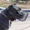 Special Rubberized Basket Dog Muzzle for Cane Corso