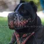 Cane Corsos Designer Dog Muzzle for K9 Training "Flame"