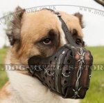 Central Asian Shepherd Painted Strong Dog Muzzle, Leather