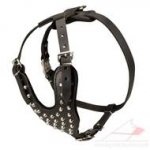 SALE! Medium/Large Brown Leather Dog Harness Studded